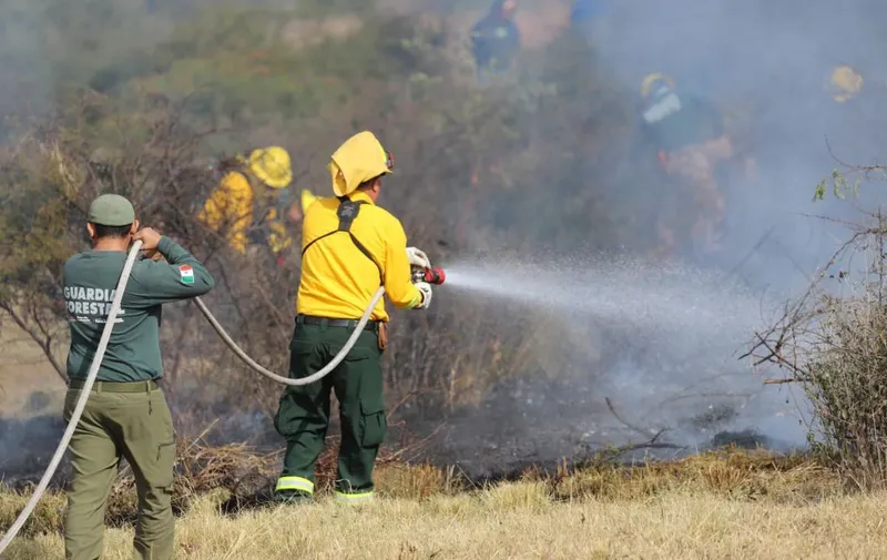 gob-pue-prevencion-incendios-forestales-26