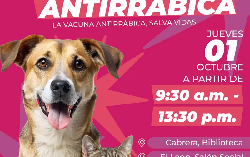 Atlixco llevará vacunación antirrábica para perros y gatos a colonias y comunidades