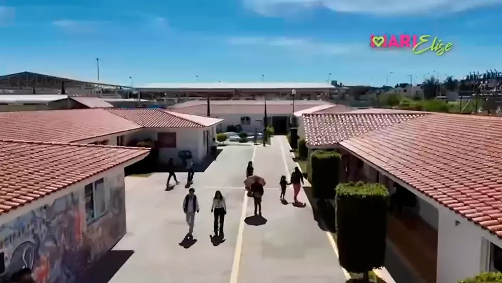 Smdif Pue Lumina Escuela Para Personas Con Sindrome De Down