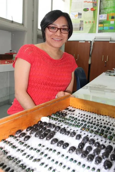 Investigadora de la BUAP registra nueva especie de escarabajo