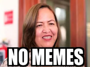 #LadyMemes, la diputada que propone cárcel a quien difunda ‘memes’