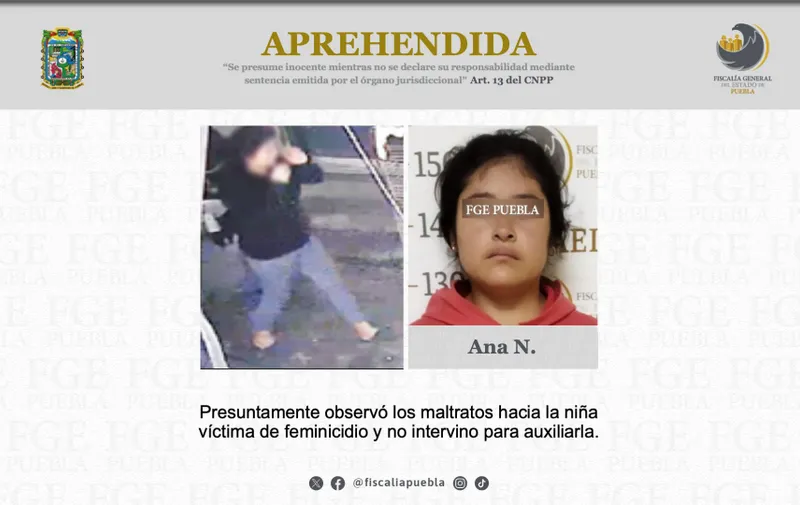 Imagen del artículo