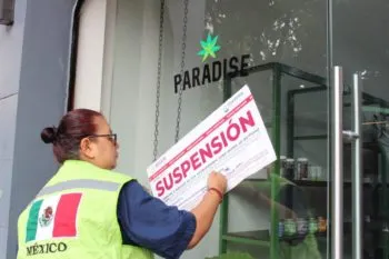 Asegura Cofepris productos cannábicos a empresa en la que Fox es socio