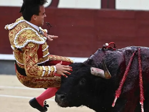 Gonzalo Caballero sufre tremenda cornada en la ingle