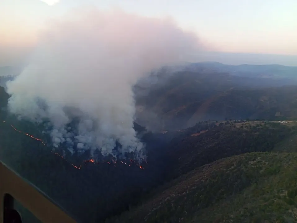 Gob Pue Incendio Forestal Vicente Guerrero