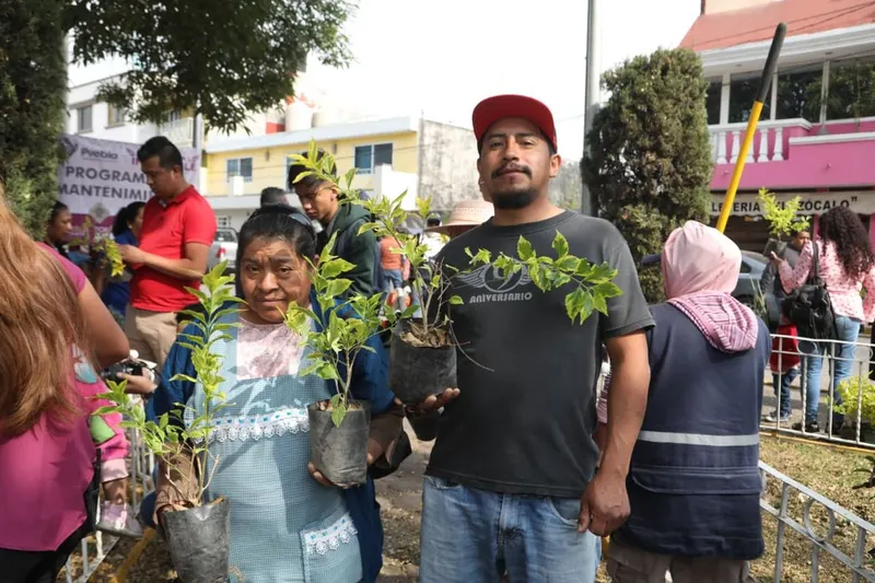 ayto-pue-reforestacion