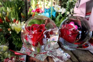 El costo del amor para el 14 de febrero