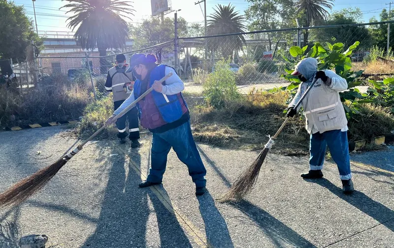 Imagen del artículo