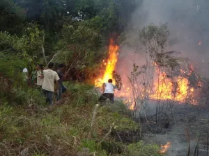 La Calera y Valsequillo, entre las áreas más propensas a incendios