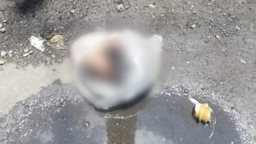 Hallan cabeza y restos humanos junto al mercado Hidalgo