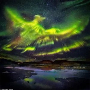La espectacular aurora boreal con forma de ave fénix