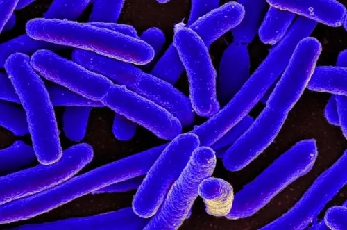 Desarrollan bacterias que comen CO2; contribuiría a la lucha contra el cambio climático