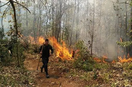 Atiende PC estatal 12 incendios forestales