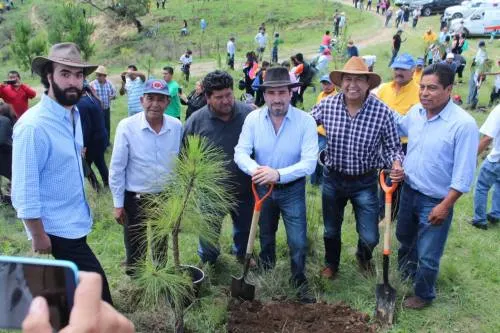 Realiza gobierno de Tony Gali reforestación histórica en el Cerro Zapotecas