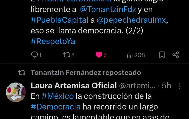 Diputados-de-Morena-respaldan-triunfo-de-Tonantzin-Fernández