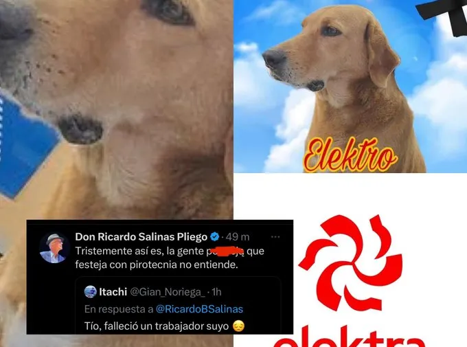 Foto: Redes