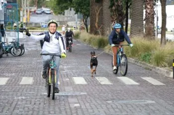 Vía Recreativa de Puebla se suspenderá este domingo 30 de agosto por carrera policial