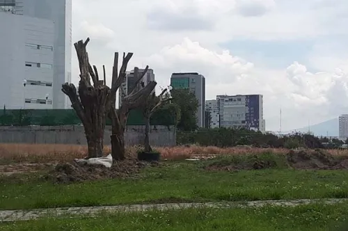 El Morenovallismo y la Oscura Venta de Inmuebles Públicos; el Primer Desfalco que Castigará Barbosa