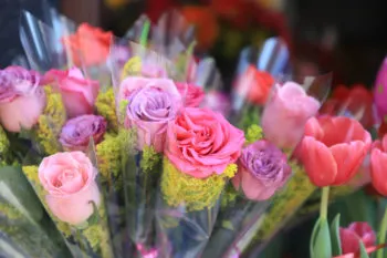 Norma Layón destina 250 mil pesos para surtir de arreglos y flores para eventos públicos