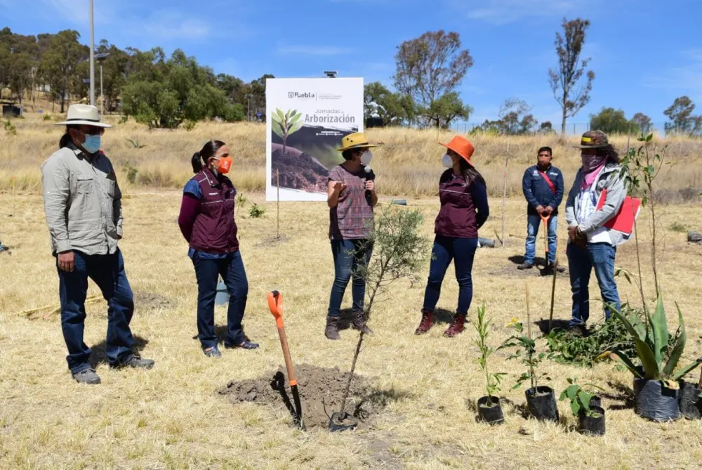 Ayuntamiento de Puebla da banderazo a Jornadas de Arborización 2021 