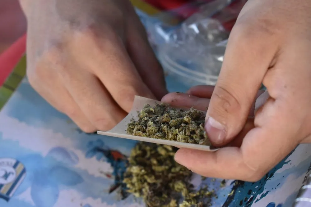 Personas detenidas con marihuana son narcomenudistas, no consumidores lúdicos: MBH