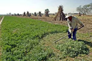 Campesinos piden a Gali apoyos para combustible