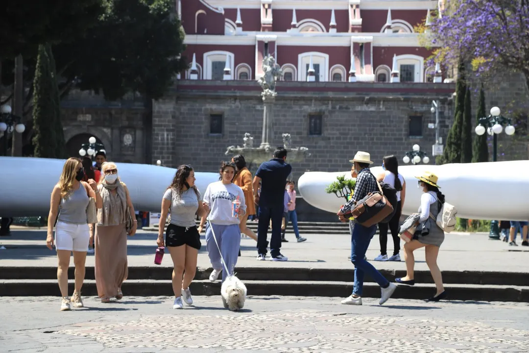 Pandemia Puebla