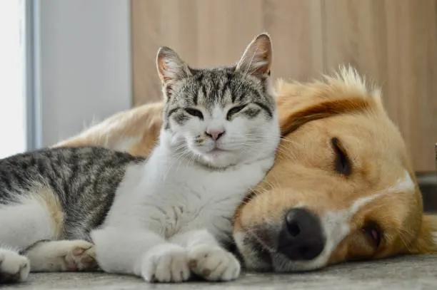 Foto: Imagen ilustrativa / istockphoto