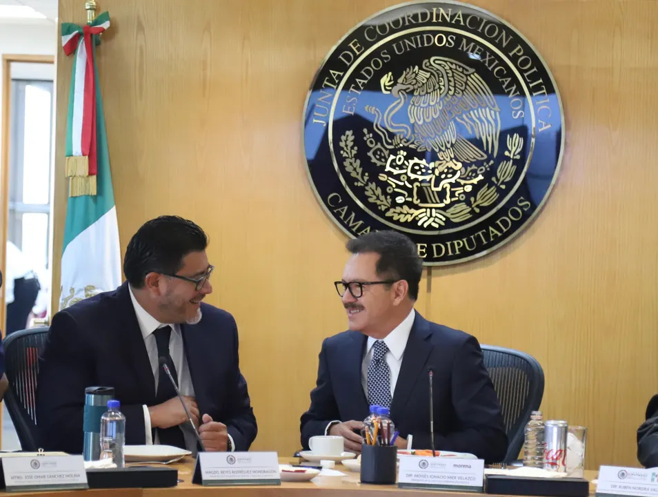 Diputado Ignacio Mier Velazco