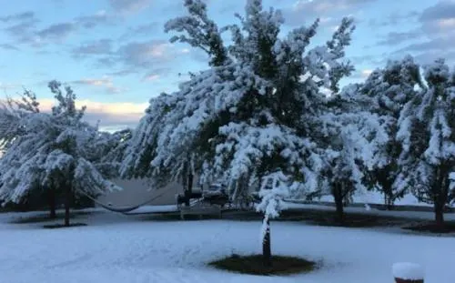 Continúan cierres carreteros en Coahuila y Nuevo León por nevadas