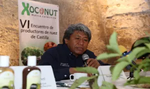 Sube 30% el precio de la nuez de Castilla