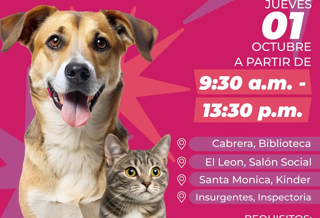 Atlixco llevará vacunación antirrábica para perros y gatos a colonias y comunidades