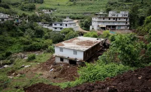 Implementan programa de reforestación en zonas afectadas por Earl