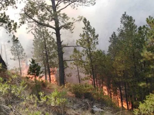 Por incendio forestal evacuan a 2 mil personas en Veracruz