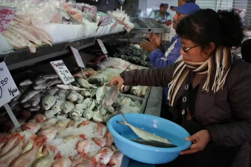 Reordenarán a los ambulantes en la zona de mariscos