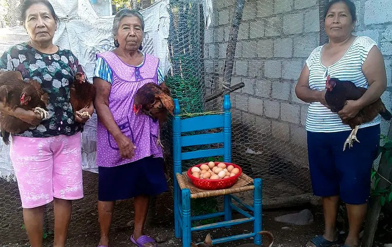bienestar-puebla-modulos-avicolas
