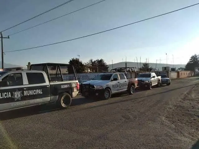 En barranca de Cañada Morelos hallaron al menos seis cadáveres descuartizados