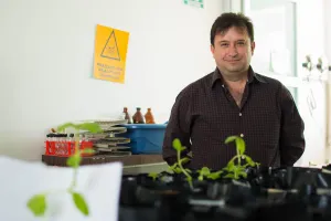 Investigadores BUAP contribuyen a degradar compuestos contaminantes