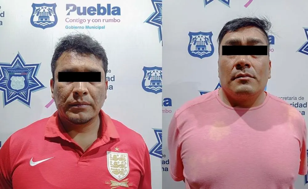 LOS GODOFREDOS