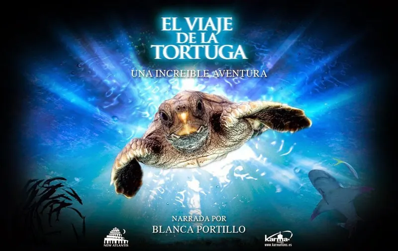 Tortugas