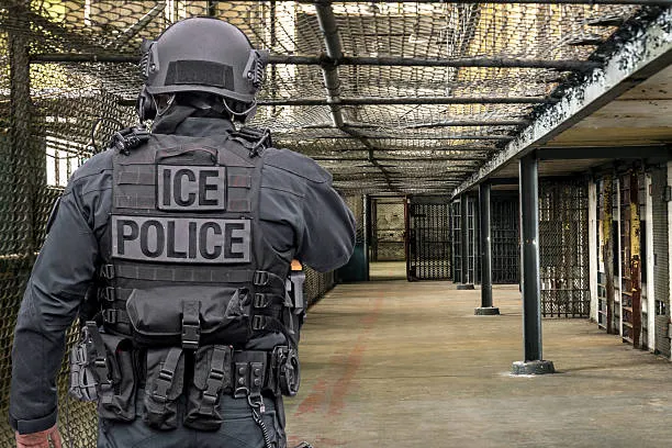 Florida alienta a denunciar a exparejas migrantes para deportarlas
