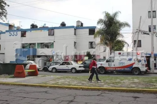 Abandonan a recién nacida en un macetero de La Margarita