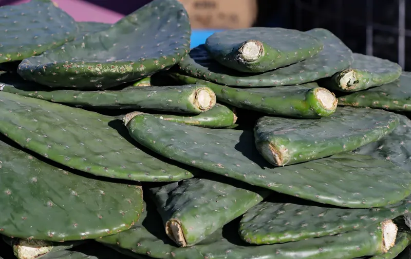 Apoyos a productores locales
