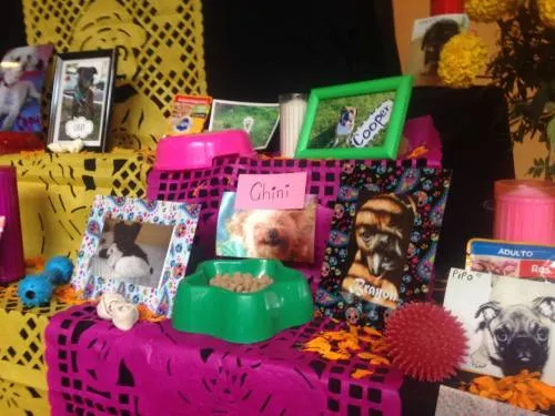 Amigos peludos también son recordados en el Corredor de Ofrendas