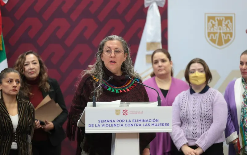 ana-francis-lopez-bayghen-patino