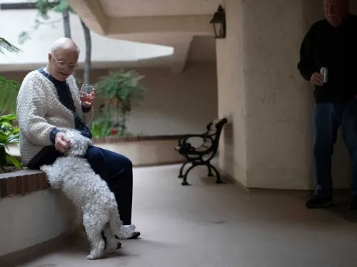 Neoyorquinos adoptan a todas las mascotas de la ciudad