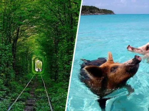 10 Lugares Curiosos que podrías visitar cuando viajes por el mundo