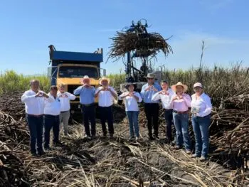 Inicia la zafra 2025–2026 para fortalecer el sector cañero