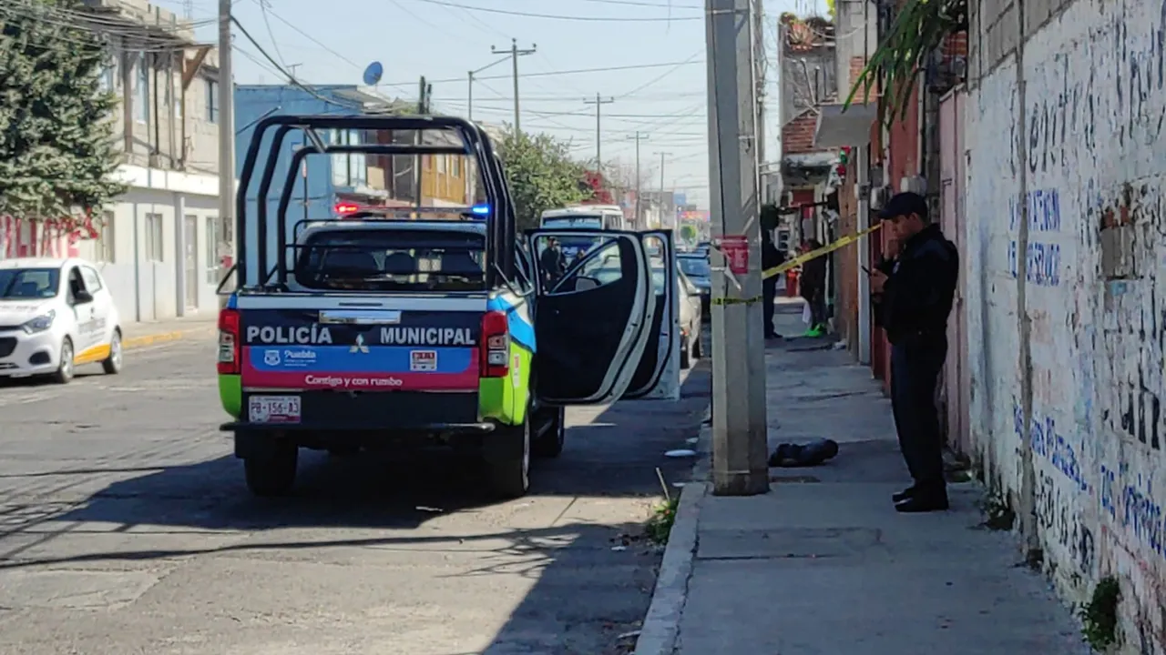 Encuentran un cráneo humano en calles de la colonia La Loma