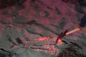 Alarma en Tepeaca por sustancia incandescente